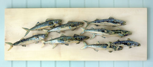 Fish mural on White Sycamore